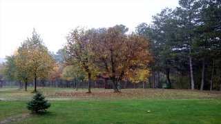 Sivas’ta ”Hobbit Evleri”nin de bulunduğu mesire alanında sonbahar güzelliği