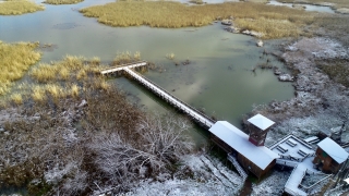 Efteni Gölü Kuş Cenneti’nde kar manzarası havadan görüntülendi