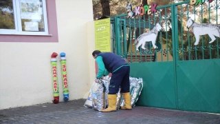 Gaziantep’te sokak hayvanları için aylık 4,5 ton mama desteği