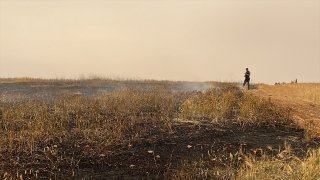 Gaziantep’te 15 dönüm tarım arazisi yangında zarar gördü