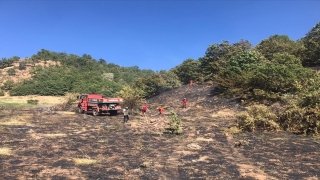Bingöl’de çıkan orman yangını söndürüldü