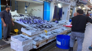 Karadeniz’de avlanan 1 kilogramlık palamutlar 35 liradan alıcı buluyor