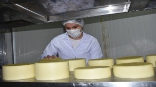 Türkiye’nin yöresel peynirleri Kars’ta buluşacak 