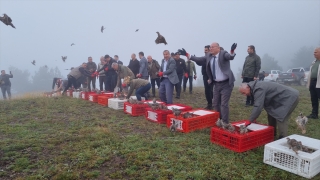 Düzce’de 1000 kınalı keklik doğaya bırakıldı