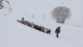 Van’da etkili olan kar nedeniyle vatandaşlar zor anlar yaşadı